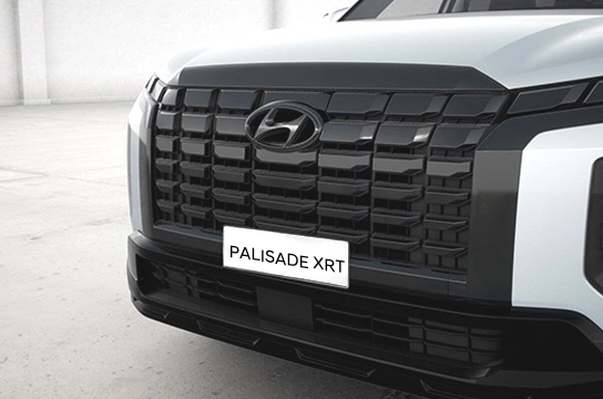 New Palisade