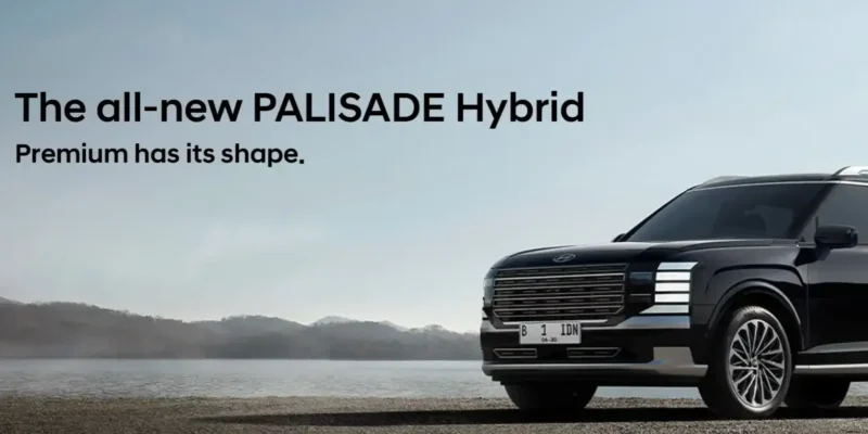 new Palisade