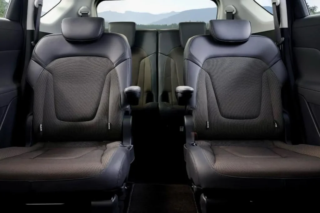 interior stargazer cartenz